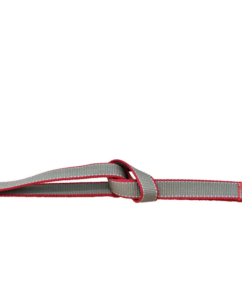 Online Adjustable Lead Set Pets