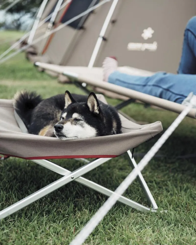 New Dog Cot Chairs|Pets