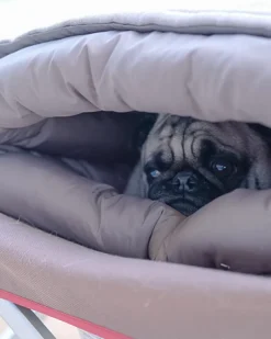 Best Sale Dog Ofuton Sleeping Bag Pets