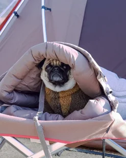 Best Sale Dog Ofuton Sleeping Bag Pets